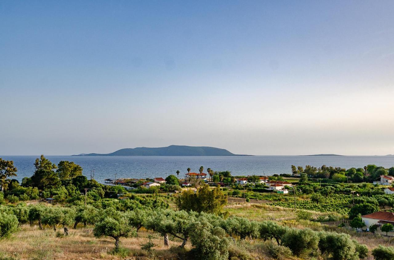 Salandore Blue Финикунда Экстерьер фото
